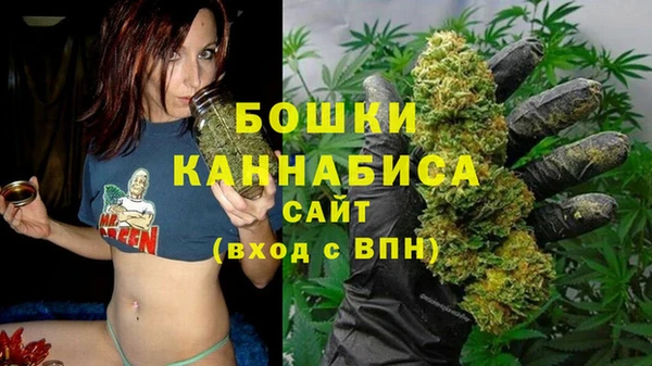 стаф Костерёво