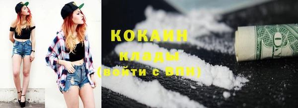соль ск Краснослободск