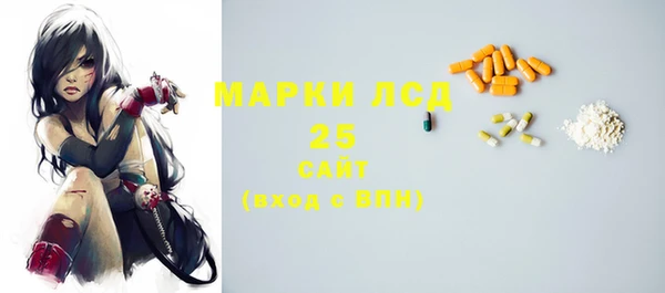 соль ск Краснослободск