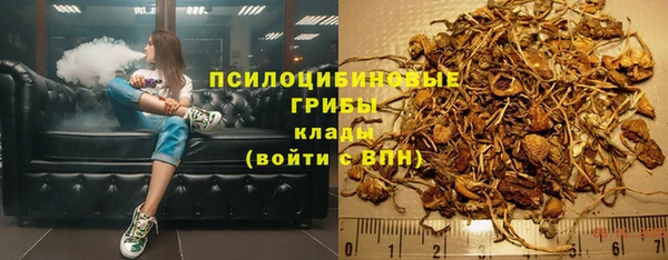 дмт Корсаков