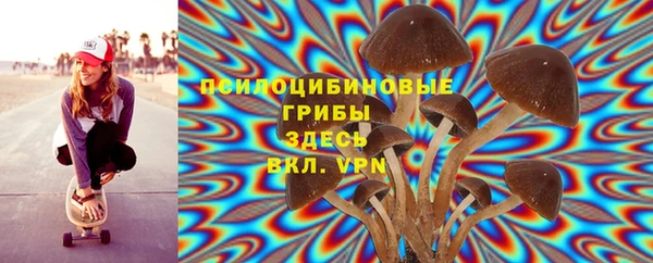 стаф Костерёво