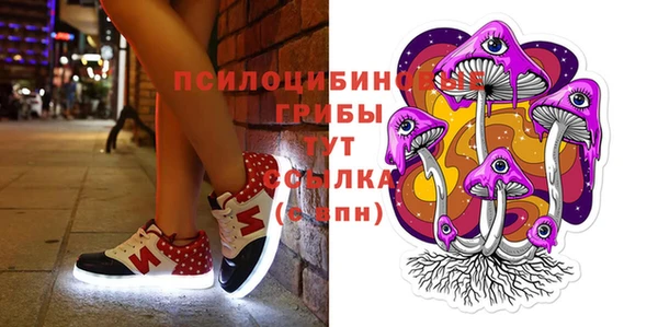 синтетический гашиш Коряжма