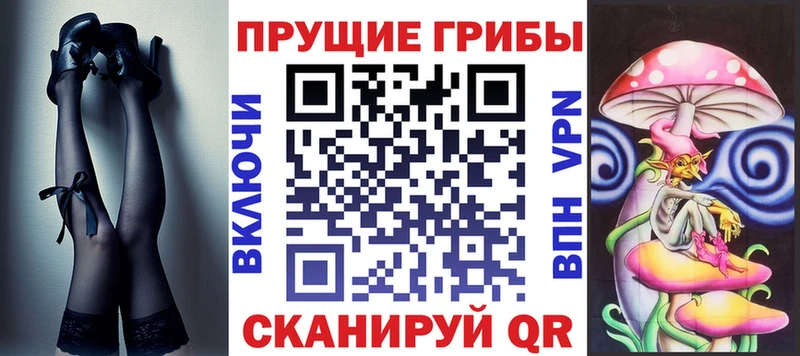 Купить закладки  Олонец  Галлюциногенные грибы GOLDEN TEACHER 